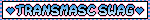 blinkie that reads 'transmasc swag'